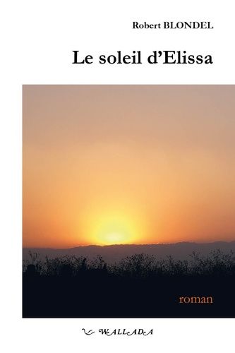 Emprunter Le soleil d'Elissa - roman livre