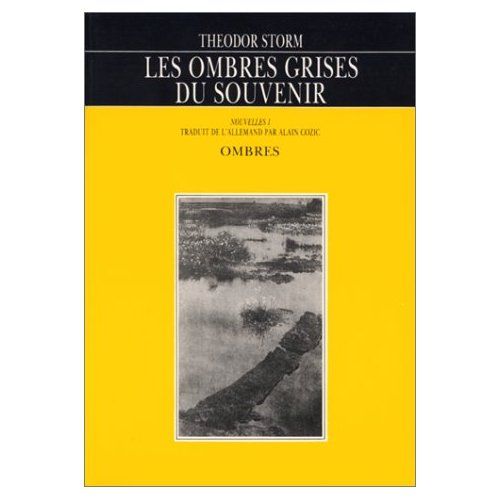 Emprunter LES OMBRES GRISES DU SOUVENIR livre