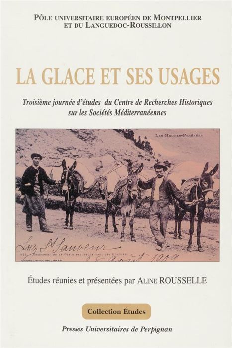 Emprunter La glace et ses usages livre