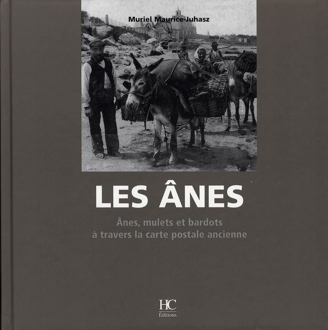 Emprunter Les ânes livre