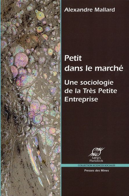 Emprunter Petit dans le marché. Une sociologie de la Très Petite Entreprise livre