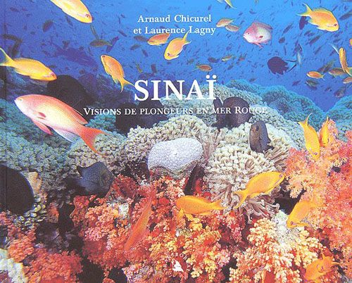 Emprunter SINAI. VISIONS DE PLONGEURS EN MER ROUGE livre