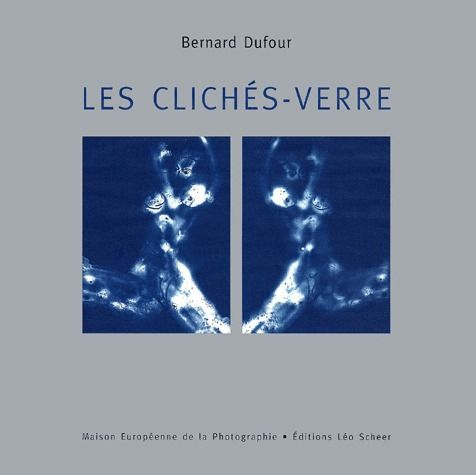 Emprunter Les clichés-verre livre