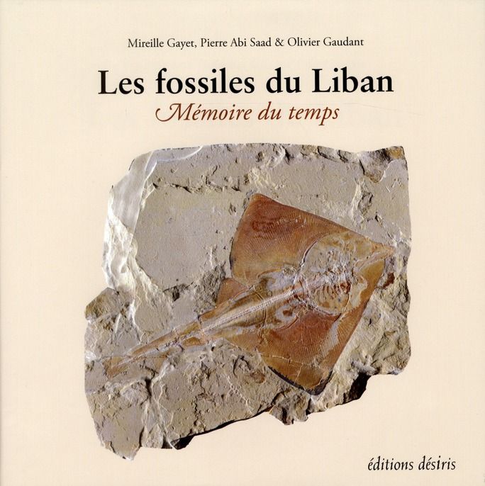 Emprunter Les fossiles du Liban. Mémoire du temps livre