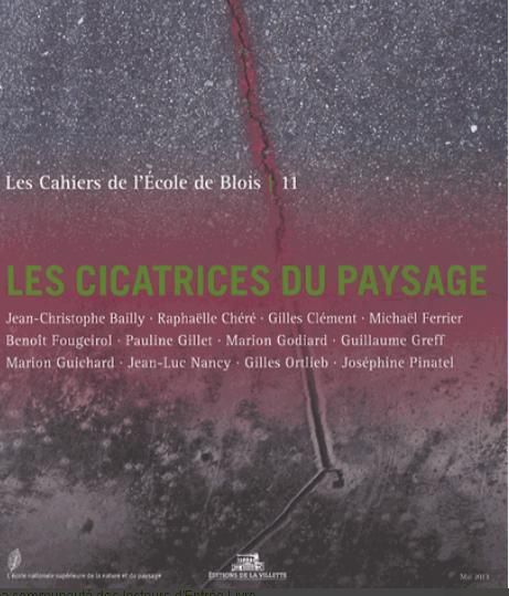 Emprunter Les cahiers de l'Ecole de Blois N° 11, mai 2013 : Les cicatrices du paysage livre