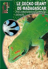 Emprunter Le gecko géant de Madagascar. Phelsuma Madagascariensis Grandis livre