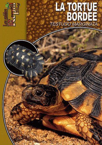 Emprunter La tortue bordée. Testudo marginata livre