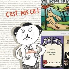 Emprunter C'est pas ça ! livre