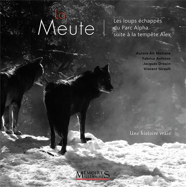 Emprunter La meute. Les loups échappés du Parc Alpha suite à la tempête Alex livre