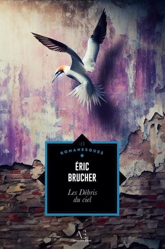 Emprunter Les Débris du ciel livre