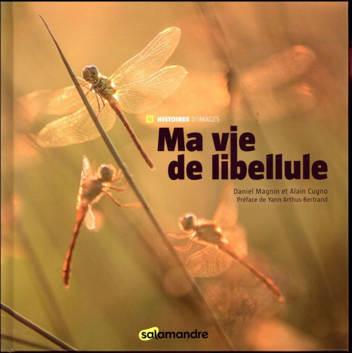 Emprunter Ma vie de libellule livre