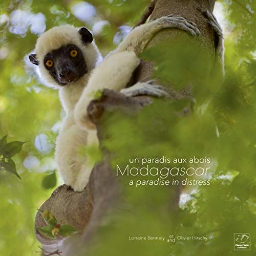 Emprunter Madagascar, un paradis aux abois. Edition bilingue français-anglais livre