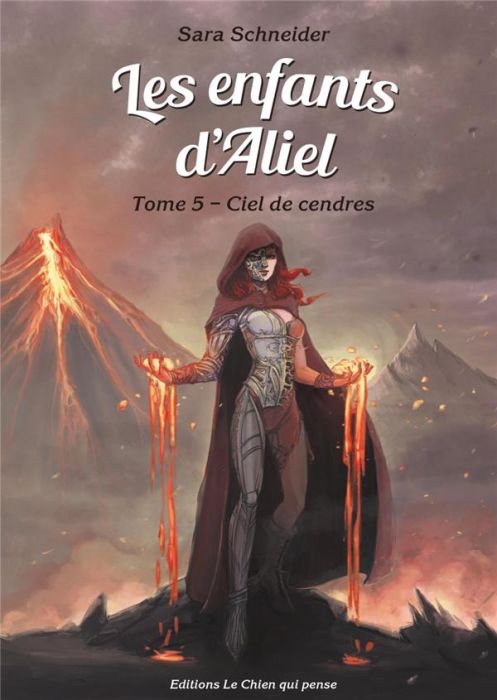 Emprunter Les enfants d'Aliel Tome 5 : Ciel de cendres livre