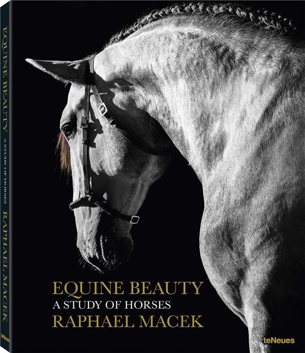 Emprunter Equine beauty. A study of horses, édition français - anglais - allemand - espagnol livre