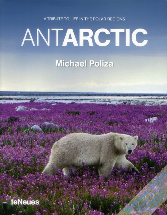 Emprunter ANTARCTIC - A TRIBUTE TO LIFE IN THE POLAR REGIONS livre