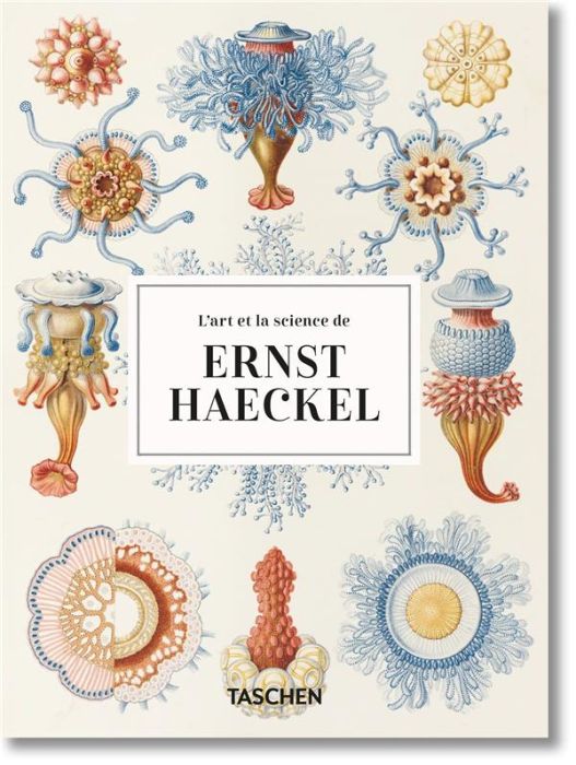 Emprunter L'art et la science de Ernst Haeckel livre