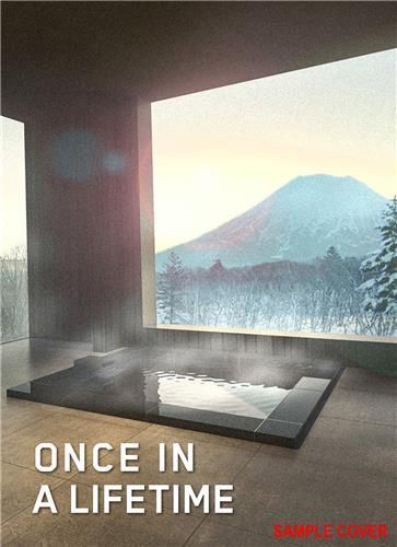 Emprunter ONCE IN A LIFETIME VOL. 2 livre