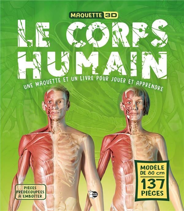 Emprunter Le corps humain. Une maquette et un livre pour jouer et apprendre livre