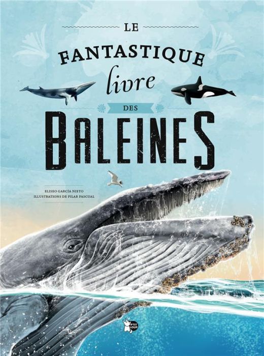 Emprunter Le fantastique Livre des Baleines livre