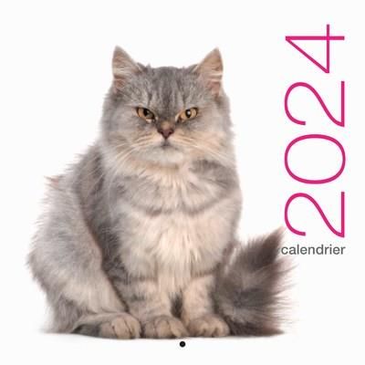 Emprunter CALENDRIER MURAL 2024 CHATS livre