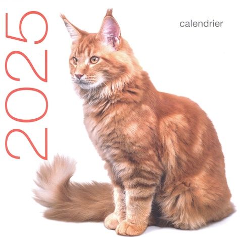 Emprunter Calendrier mural Chats. Edition 2025 livre