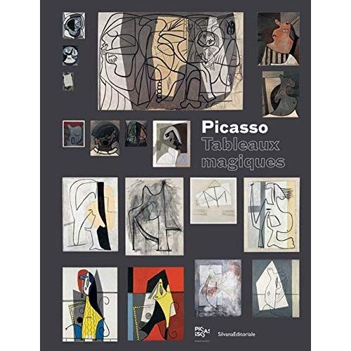 Emprunter Picasso. Tableaux magiques livre