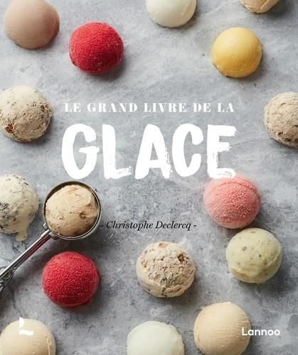 Emprunter Le grand livre de la glace livre