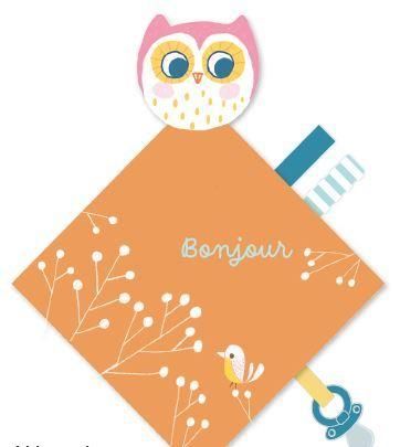 Emprunter Mon petit hibou livre doudou livre