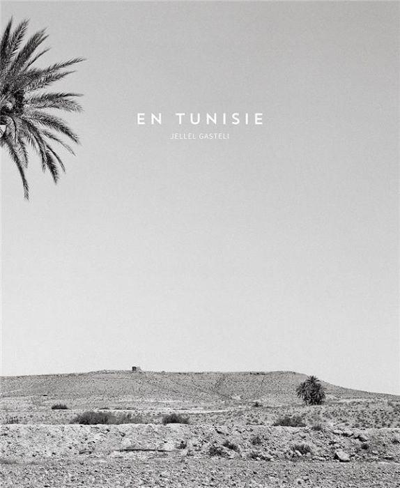 Emprunter En Tunisie. Edition bilingue français-anglais livre