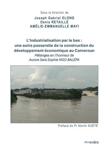 Emprunter L'industrialisation par le bas : une autre passerelle de la construction du développement économique livre