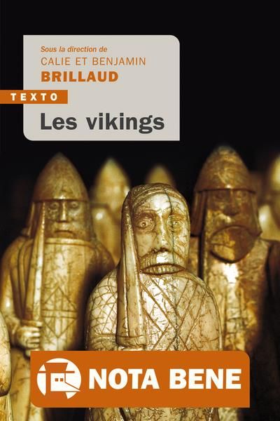 Emprunter Les vikings livre