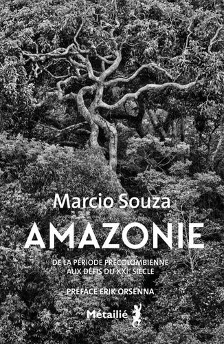 Emprunter Amazonie. De la période précolombienne aux défis du XXIe siècle livre