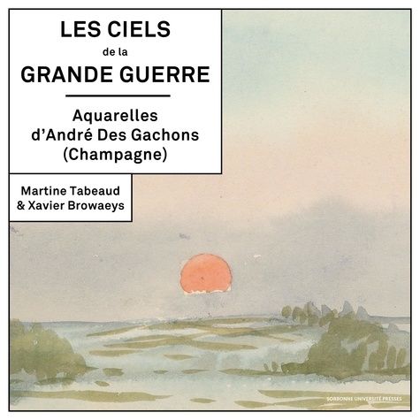 Emprunter Les ciels de la Grande Guerre livre