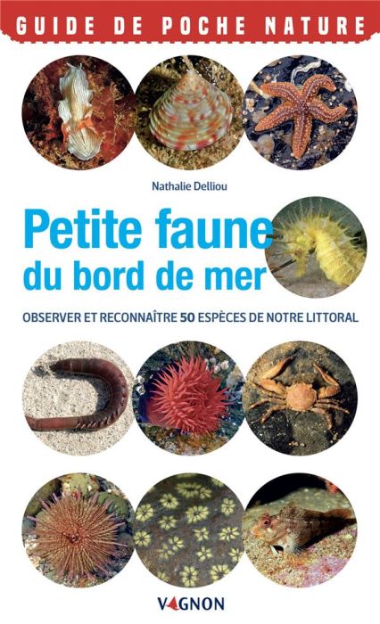 Emprunter Petite faune du bord de mer. Observer et reconnaître 50 espèces de notre littoral livre