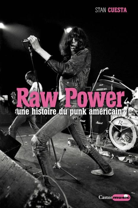 Emprunter Raw Power. Une histoire du punk américain livre