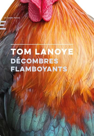 Emprunter Décombres flamboyants livre