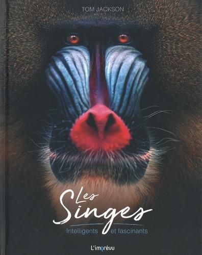 Emprunter Les Singes. Intelligents et fascinants livre