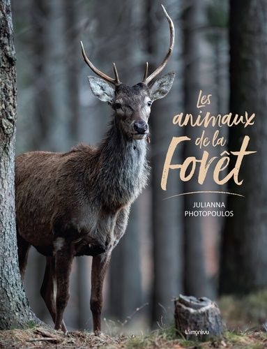 Emprunter Les animaux de la forêt livre