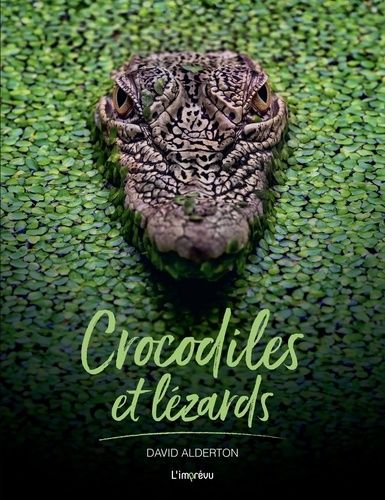 Emprunter Crocodiles et lézards livre