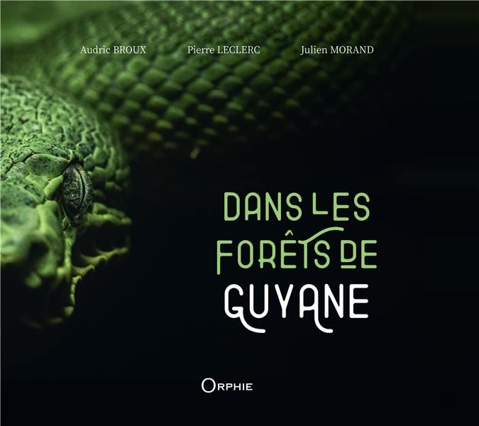 Emprunter Dans les forêts de Guyane livre