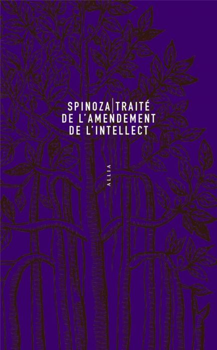 Emprunter Traite de l'amendement de l'intellect livre