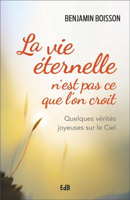 Emprunter La vie éternelle n'est pas ce que l'on croit. Quelques vérités joyeuses sur le Ciel livre