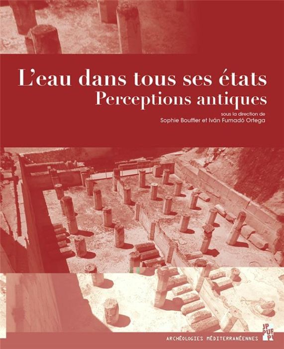 Emprunter L'eau dans tous ses états. Perceptions antiques livre