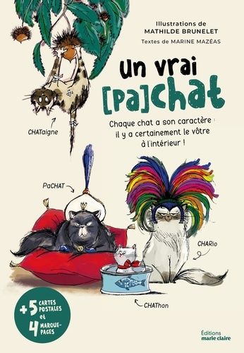 Emprunter Un vrai (pa)chat. Chaque chat a son caractère : il y a certainement le vôtre à l'intérieur ! livre