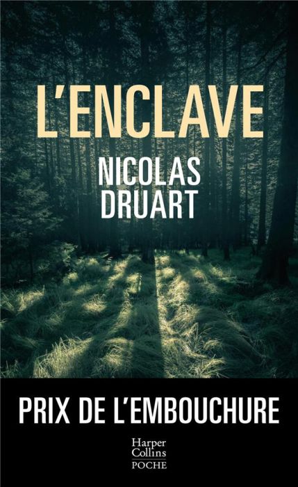 Emprunter L'enclave livre