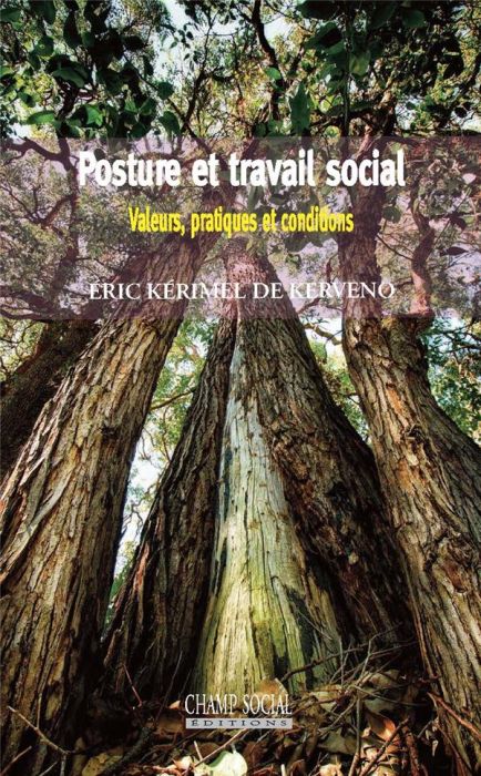 Emprunter Posture et travail social. Valeurs, pratiques et conditions livre