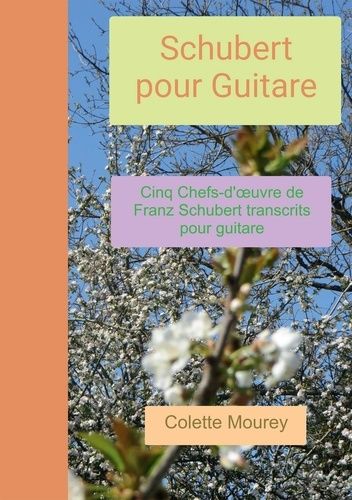 Emprunter Schubert pour Guitare. Cinq Chfs-d'oeuvre de Franz Schubert transcrits pour guitare livre