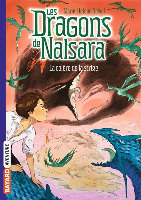 Emprunter Les dragons de Nalsara Tome 6 : La colère de la stridge livre