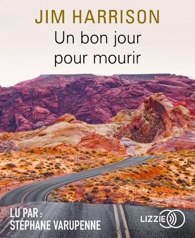 Emprunter Un bon jour pour mourir. 1 CD audio MP3 livre