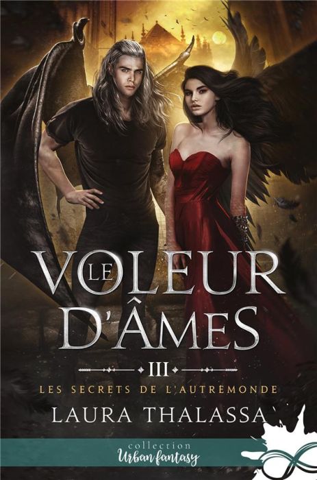 Emprunter Les secrets de l'AutreMonde Tome 3 : Le voleur d'âmes livre